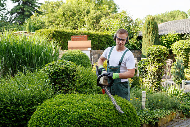 Best Lawn Edging  in Mansfield, OH